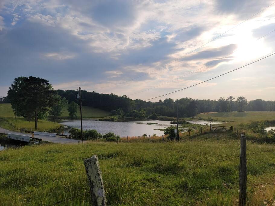 Cozy Swamp Rabbit - Sans Souci Greenville Furman Zewnętrze zdjęcie