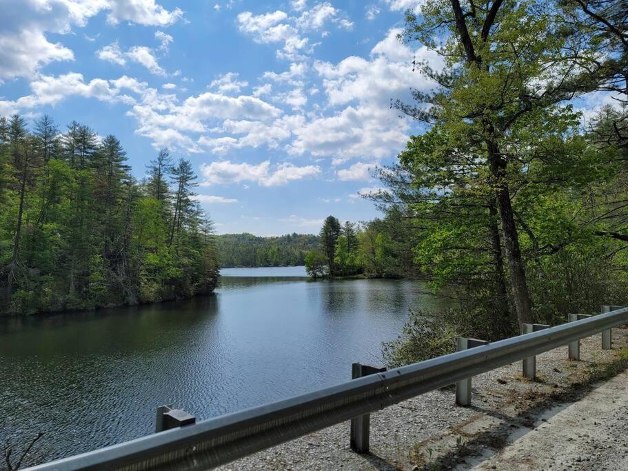 Cozy Swamp Rabbit - Sans Souci Greenville Furman Zewnętrze zdjęcie